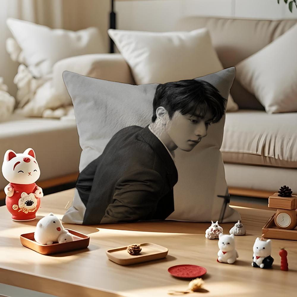LinYi Chinese Actor Cushion Cover Anti-dustmite Pillowcase Invisible Zipper Silky Short Plush Sofa Cushion Cover