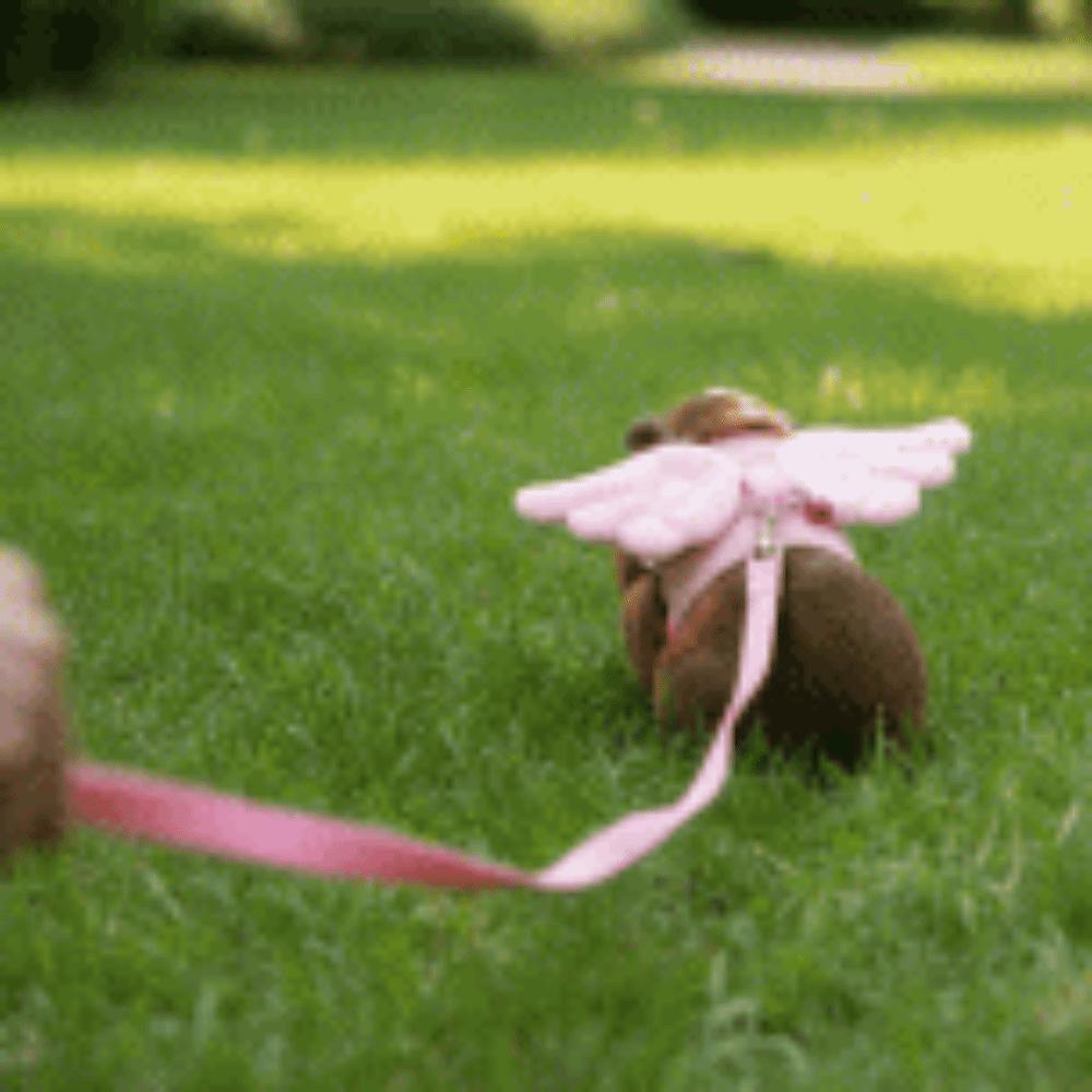 Cartoon Ferret Traction Harness Adjustable Pet Traction Rope Guinea Pig Chest Strap Training