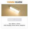 Bil Interiør Lys Strip Bar Lampe for Van Bus Caravan Type-C Lading Led Bagasjerom Lys Trådløs Bevegelsessensor Lys
