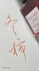 PILOT Winter INK50FG Ink, 50ml, FG, Ink,