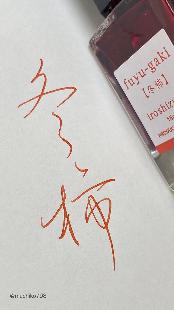 PILOT Winter INK50FG Ink, 50ml, FG, Ink,