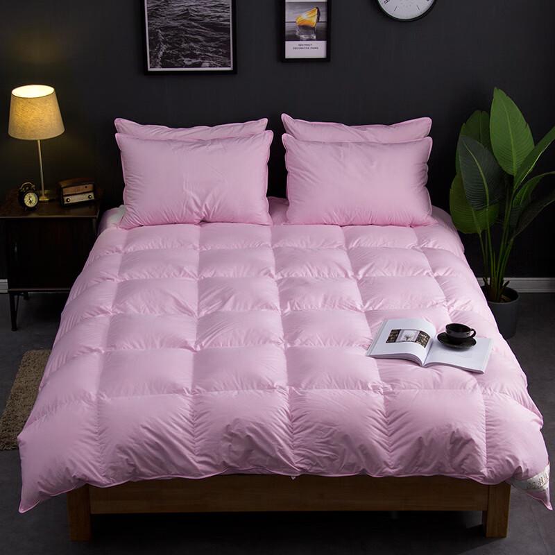 

Muxinzi 100% Cotton Warm-Core All-Season Quilt