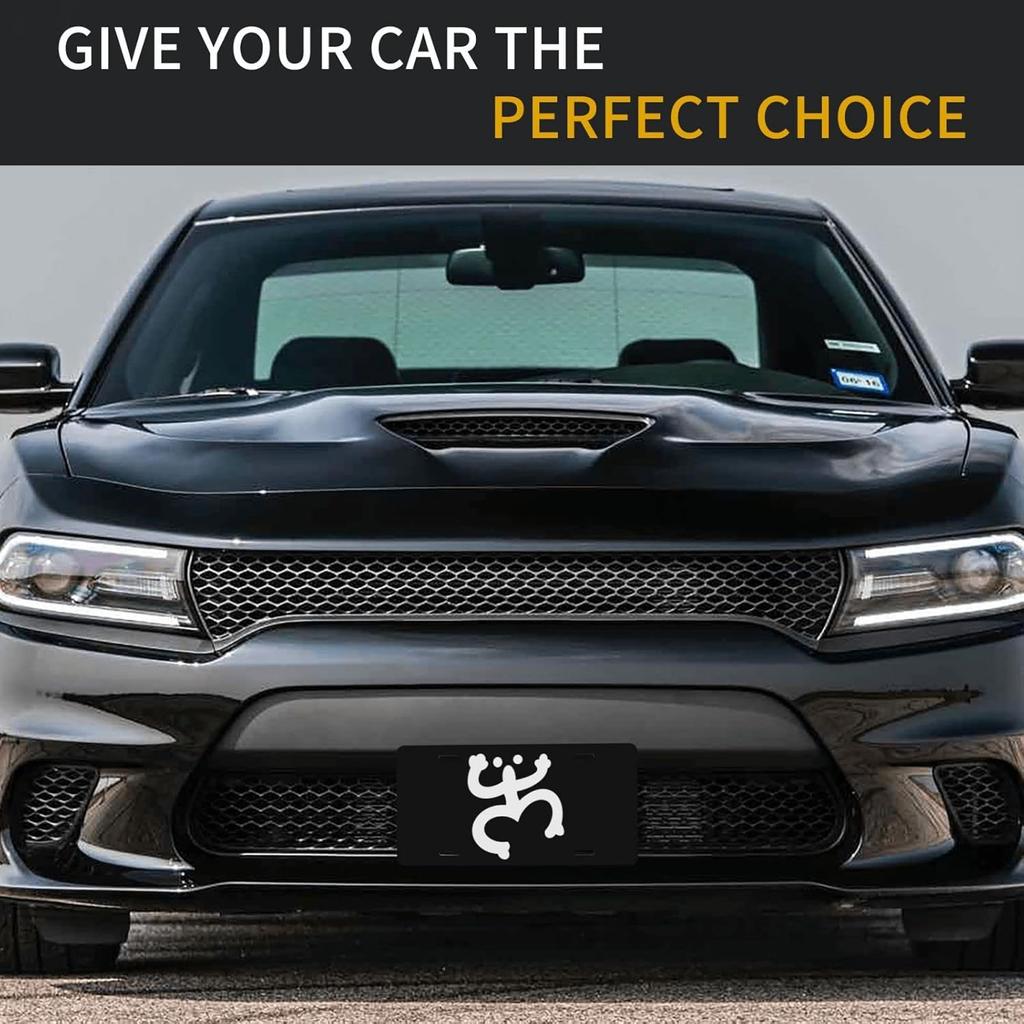 [Decorative] Coqui Frog Taino Symbol Puerto Rico Car Front Plate, Novelty Vanity Tag, Metal Aluminum Auto Decor Plate for Cars, Trucks, SUVs - 6x12