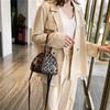 ins fashion leopard print triangle bag Korean version of the new portable women's bag trendy women's shoulder messenger mini bag