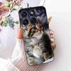 Lovely Cat For Motorola Edge 70 Case Cover Soft Silicone Phone Case For Motorola Edge70 Edge 70 5G Back Cover Bumper