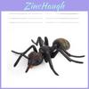 Wasps Ants Crickets Science Model Collection Of Pvc Insects For Classroom Teaching And Display