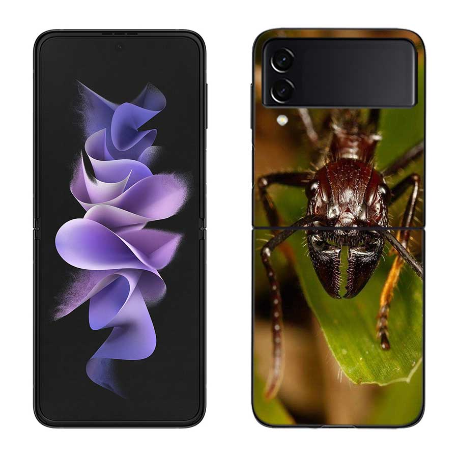 Red Fire Ants, Worker Ants Phone Case For Samsung Z Flip 7 6 5G Galaxy Z Flip 5 4 3 Black Hard Cell Cover Luxury PC Shell Coque