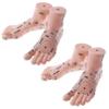 2 pair 19cm Massage Acupuncture Feet Model Reflexology Acupoint  Kit
