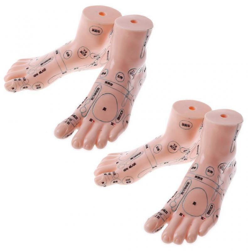 2 pair 19cm Massage Acupuncture Feet Model Reflexology Acupoint  Kit