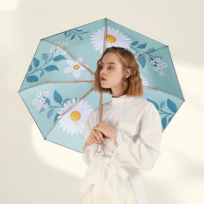 Accessori – Ombrelli