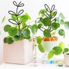 6Pcs Trellis for Potted Plant Garden Trellis for Climbing Plant Stackable Plant Trellis Indoor Plastic Potted Plant