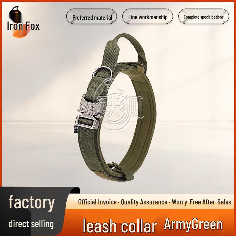

Iron Fox Nylon Pet Collar with Leash