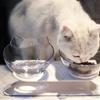 Non Slip Oblique Mouth Plastic Pet Cat Basin Dog Bowl Feeder 15 Degree Bowl with Stand Basin Oblique Mouth Double Bowl cat Bowl