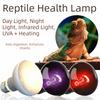 110/220V Daylight Heat Bulb 25/50/75/100W Basking Light Pet Daylight Lamp  Lizard Habitat