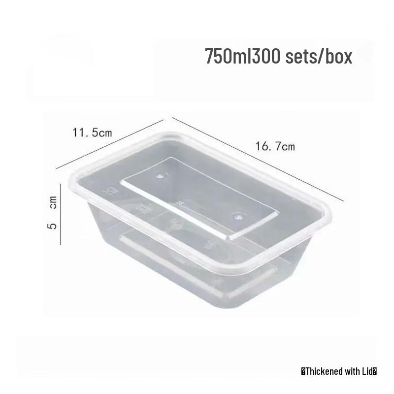 

Disposable Transparent Food Containers with Lids