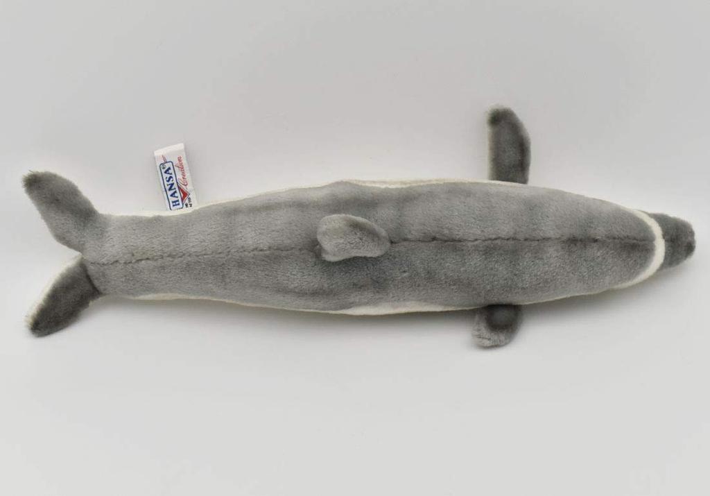 BH5042 HANSA Dolphin 40