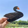 Muweordy Black White Swan Acetate Claw Clip Shark Hair Claws Creative Animal Hair Clip For Women Girls Hair Accessories
