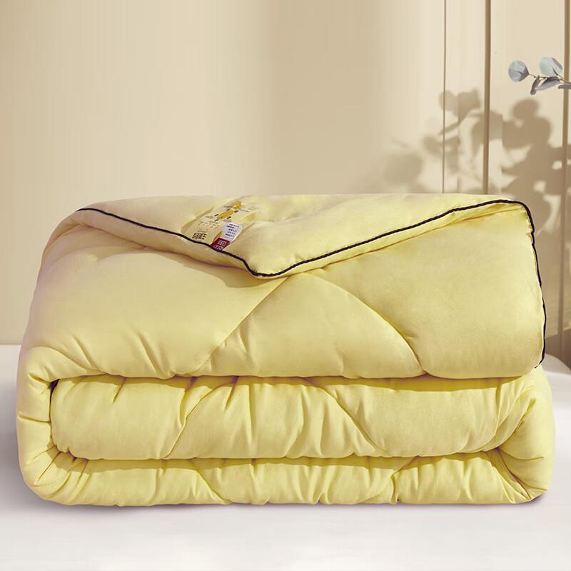 

Hongdou Ginger Warm Microfiber Quilt