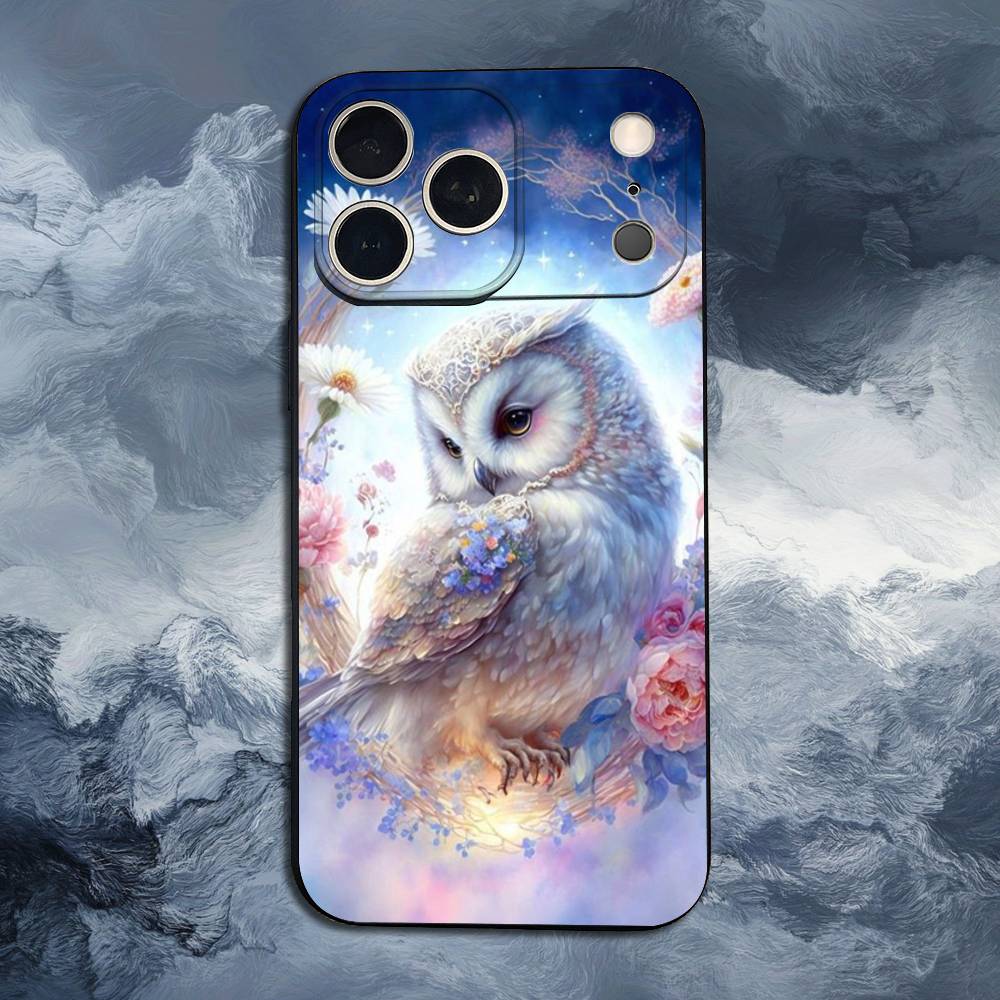 Cute C-Colorful Owl B-Bird For iPhone 12,14,13,15,8,7,16,11,17,X,Mini,Plus,Pro,XR,SE,XS,Max,Soft Silicone Black Case
