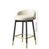 Modern Minimalist Luxury-Lite Bar Stool, High Backrest Chair for Home Island & Reception Counter