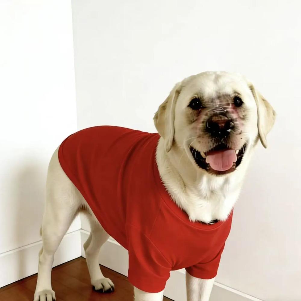 Frühling Sommer Einfarbige Hundekleidung für große Hunde, Dünne Anti-Haarausfall Haustierkleidung für Labrador Golden Retriever Border Collie