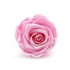 P-1  21 Preserved Roses in a Box Wedding Decor Floral Arrangements Wedding Dried Flower Home Decor Baby Shower Flowers 2~3cm