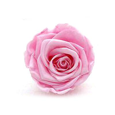 P-1 21 Preserved Roses in a Box Wedding Decor Floral Arrangements Wedding Dried Flower Home Decor Baby Shower Flowers 2~3cm