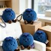 Blueberry Luck] Preventing Mold Luck Blueberry Plush Doll Doll Ornament Bag Pendant Keychain Pendant