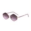 Vintage Steampunk Polygon Sunglasses Women 2025 Luxury Brand Classic Hexagon Sun Glasses Trendy Driving Shades For Ladies UV400