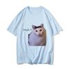 Huh Cat Meme Camisetas Divertidas Geniales Clásicas Ropa para Hombre/Mujer Estética Harajuku Camiseta Vintage Unisex Streetwear Camisetas de Algodón Y2k