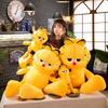 Character Garfield Cartoon Plush Doll Childrens Birthday Gift Decoration Home