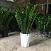 Decoração de casa – Flores e coroas artificiais