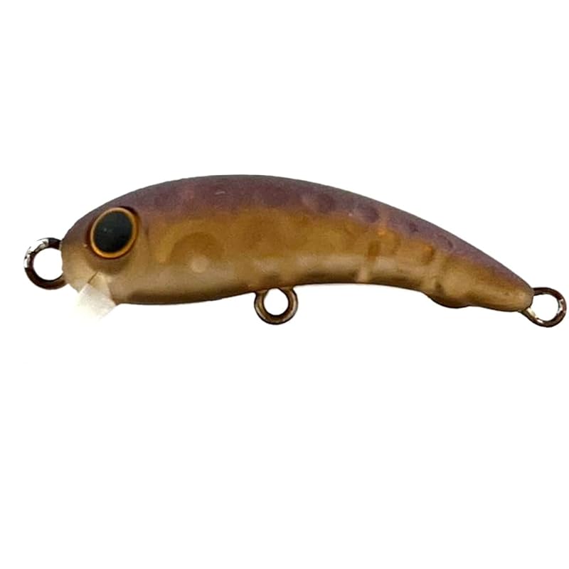 

Lucky Craft (LUCKY) CRAFT) Wow 37F fishing lure (1716 Brescia Neo)