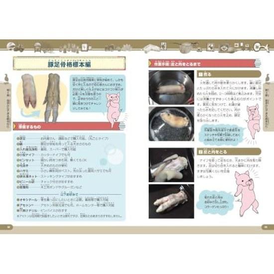 Interesting Specimen Laboratory From Creating Familiar Bone Specimens Secrets Exhibitions (Manabukk)
