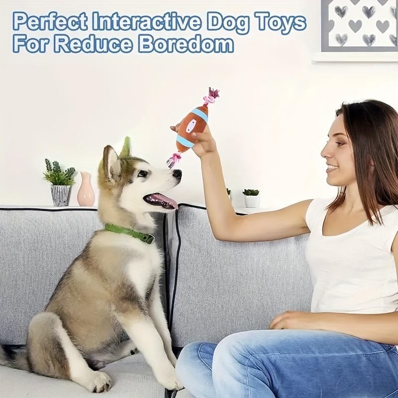 2pcs Durable Squeaky Plush Toy for Dogs with Football Design and Knotted Rope