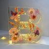 Floral Letter Night Light Alphabet Letter LED Lights Luminous Number Lamp Decorative Resin Lamp With Initial Letter & Dry Flower