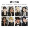World Tour dominATE SEOUL SKZOO HAIR CLIP Official Photocard