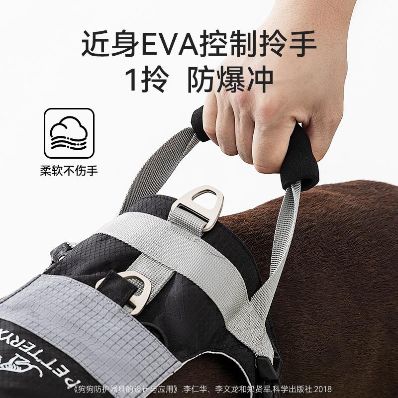 Dog traction rope vest type medium and large dog explosion-proof double ring buckle golden hair neck ring chain dog walking rope adjustable rope