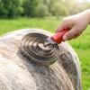 Spring-Mounted Cattle Comb | Curry Comb, Rounded, for Farms, Stables, Barns,