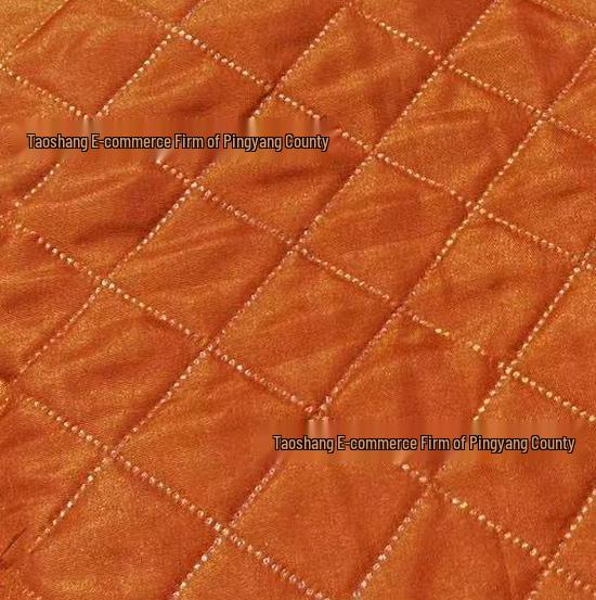 Waterproof, Stain-Resistant, Non-Slip Double-Sided Sofa Cover & Pet Mat