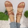 Women's Sandals Summer Korean Version Net Red Wear Fashion Versatile Woven Flat Fairy Roman Sandals