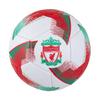 Liverpool FC Blitz Football