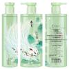Adolph Tea Bran Ice Care Silicone-Free Anti-Dandruff & Oil Control Shampoo
