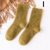 Women's Autumn And Winter Warm Mink Fleece Tube Socks Plush Sleep Socks Mid Calf Hosiery Sock
