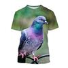 Magliette 3D con Stampa di Piccioni Animali Uccelli Moda Uomo Donna Manica Corta Streetwear Magliette Oversize Abbigliamento