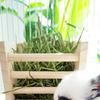 2in1 Wood Feeder Feeding Rack for Rabbit Small Animal Hamster Food Container Cage Feeding Accessories Pet Essential
