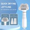 Heiße Katzenbürste mit Dampf Hundespray Haustier Dampfmassagebürste Spray Haarentfernungskamm Massage Dampfgarerkamm für Langes Haar Hunde Katzen