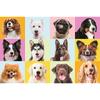 17374 "60" - Sweet Dogs / Trefl