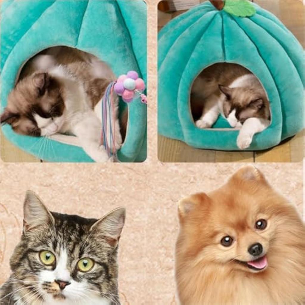 3D Pumpa Kattbädd Husdjurshus Halvt slutet Avtagbar Botten Halkfri Mjuk PP Bomull Vinterlämplig För Katt/Hund Varm Förtjockad Husdjursbädd