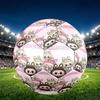 Labubu Print Size 5 Soccer Ball, PU Wear Resistant Football for Match Training and Daily Practice, Birthday Gift for Soccer Fans